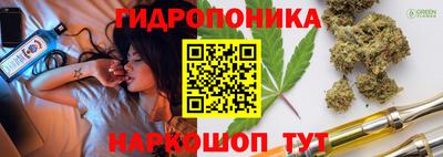 соль ск Дубна