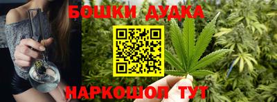 индика Донецк