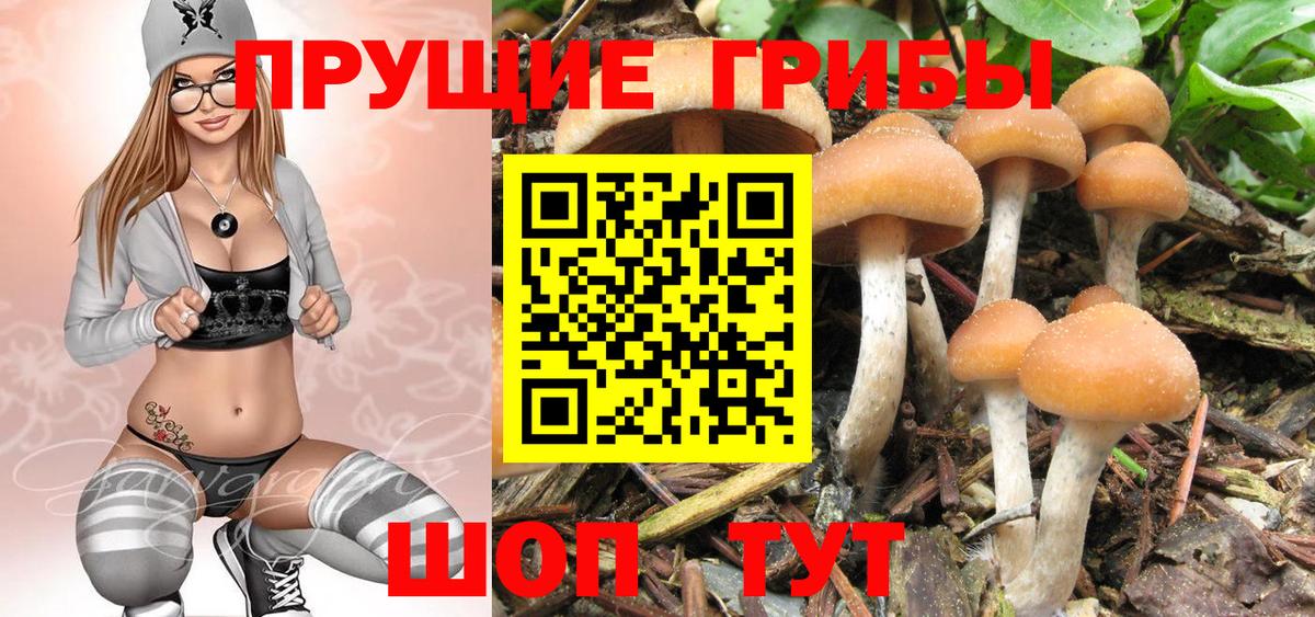 Псилоцибиновые грибы MAGIC MUSHROOMS Мыски